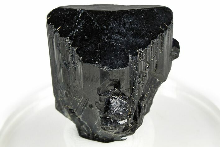 Lustrous Black Tourmaline (Schorl) Crystal - Namibia #373624